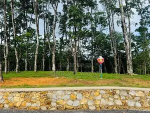 බැල්ලපිටිය වල්පිට පාරෙන් වටිනා බිම්කොටස් විකිනීමට