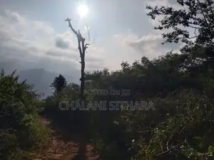 Land for Sale ඇල්ල