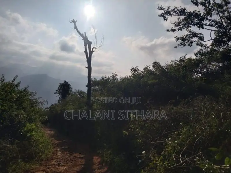 Land for Sale ඇල්ල