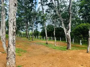 Land for Sale Horana Ballapitiya