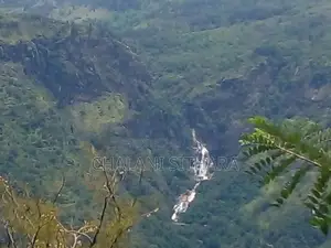 Land for Sale ඇල්ල