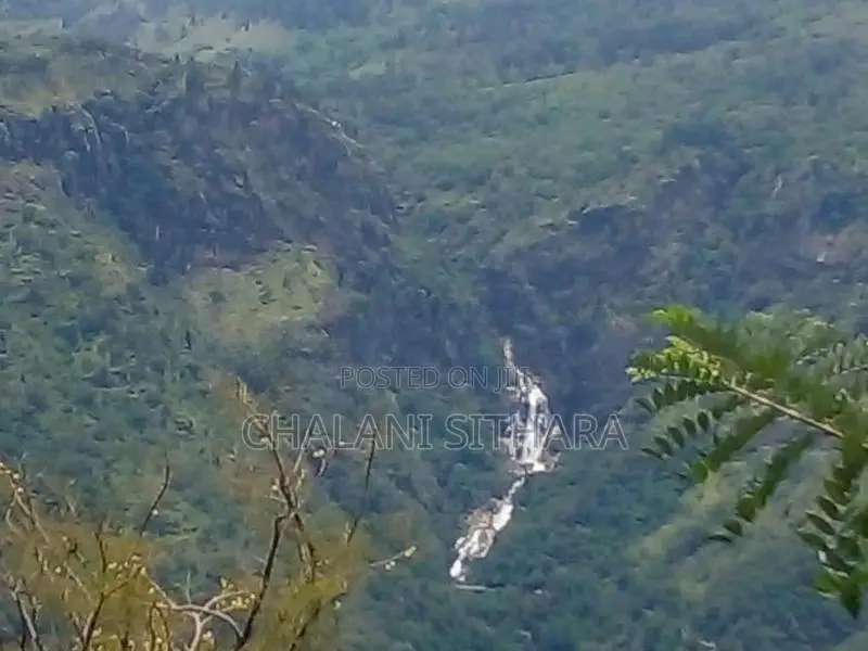 Land for Sale ඇල්ල