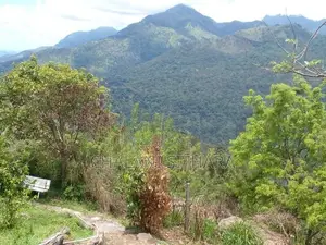 Land for Sale ඇල්ල