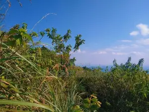 Land for Sale ඇල්ල
