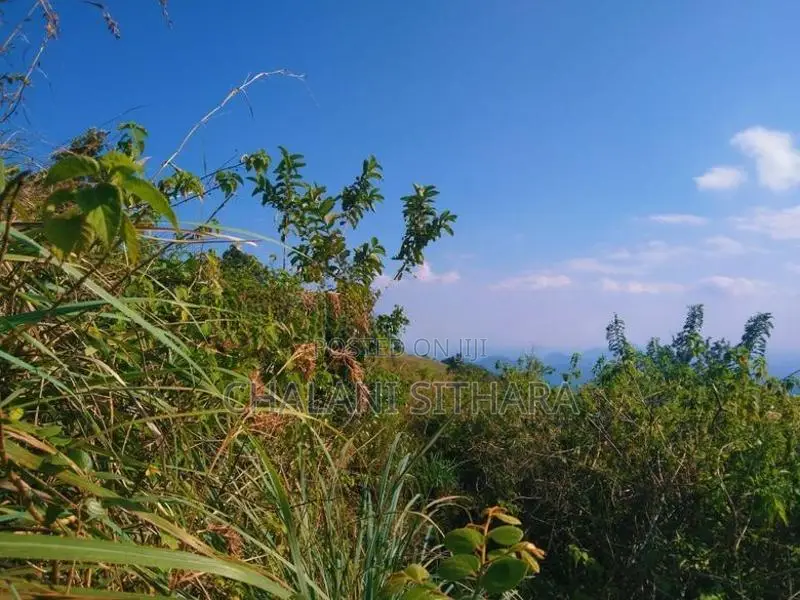 Land for Sale ඇල්ල