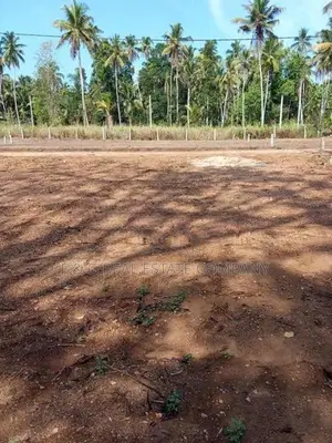Land for Sale දිවුලපිටිය