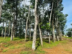 Land for Sale Horana Ballapitiya