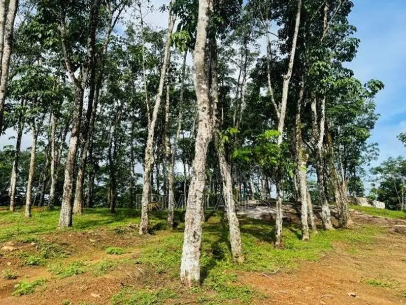 Land for Sale Horana Ballapitiya