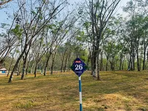 Land for Sale Horana Kananvila