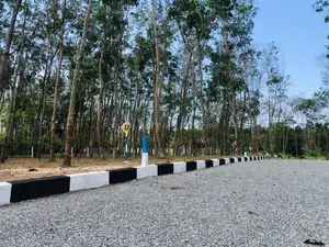 Land for sale in panadura Malamulla