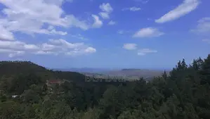 හපුතලෙන් බිම් කොටසක්