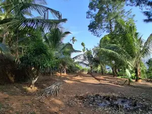 Land for Sale in Rideepana