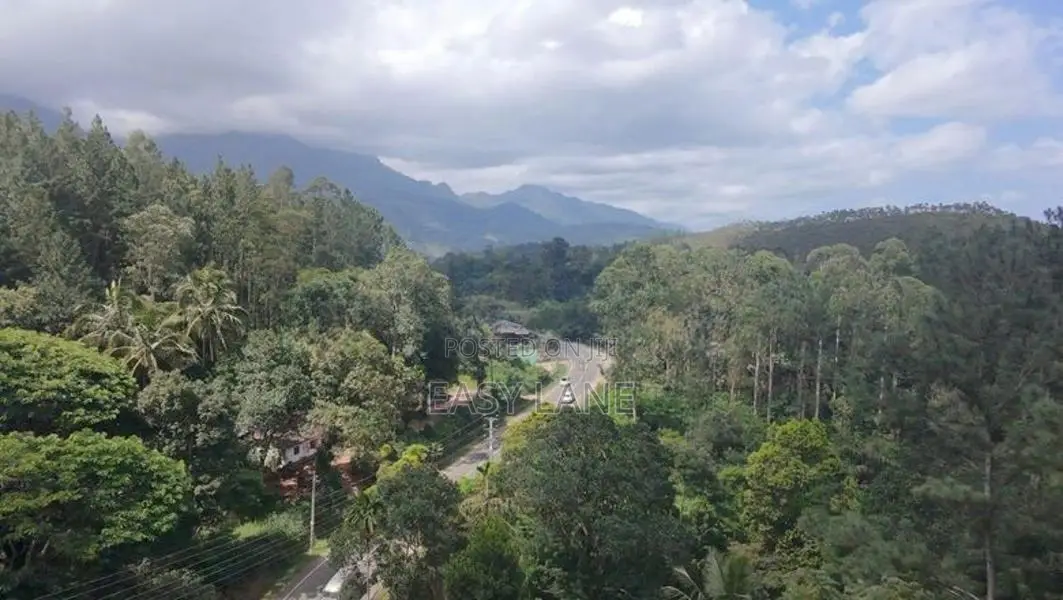 හපුතලෙන් බිම් කොටසක්