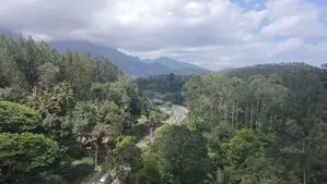 හපුතලෙන් බිම් කොටසක්
