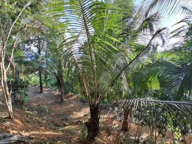 Land for Sale in Rideepana