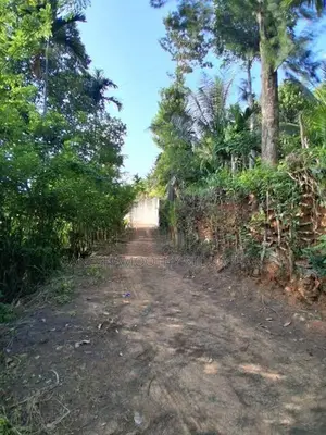Land for Sale in Rideepana