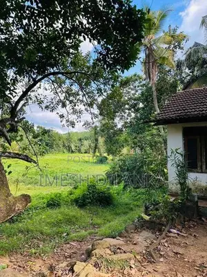 Land For Sale In Warakapola