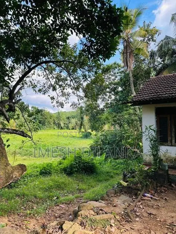 Land For Sale In Warakapola