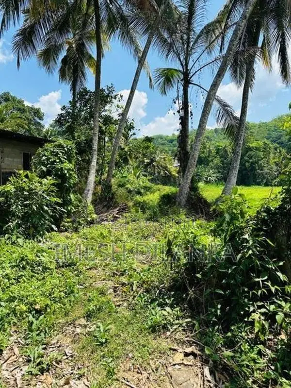 Land For Sale In Warakapola