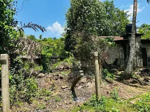 Land For Sale In Warakapola