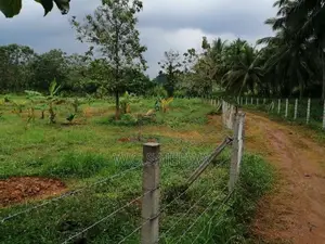 324 Perch Land for Sale in Godigamuwa, Katana