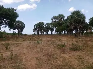 Beachfront Land for Sale – Adukkupaarai Beach, Trincomalee