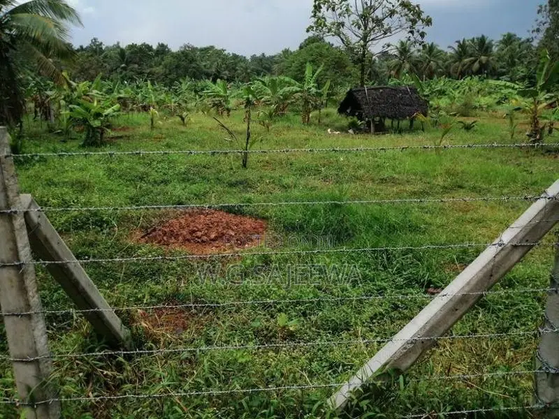 324 Perch Land for Sale in Godigamuwa, Katana