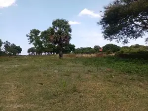 Beachfront Land for Sale – Adukkupaarai Beach, Trincomalee