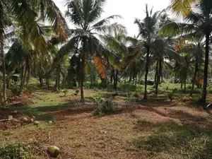 324 Perch Land for Sale in Godigamuwa, Katana