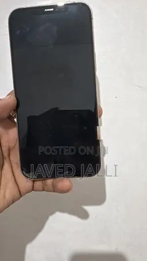 Apple iPhone 12 Pro Max (Used)