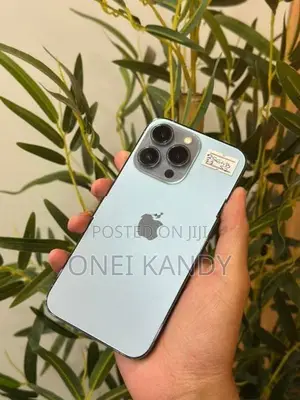 Apple iPhone 13 Pro 256GB (Used)