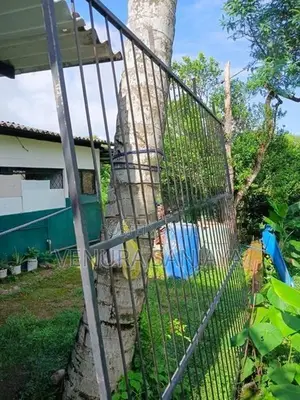 Grill Gate ( යකඩ වැටක් )