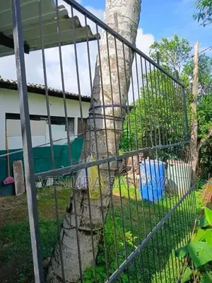 Grill Gate ( යකඩ වැටක් )