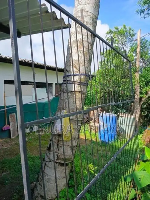 Grill Gate ( යකඩ වැටක් )