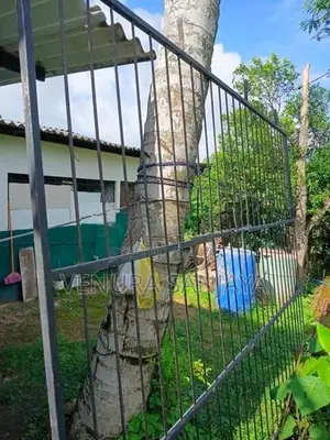 Grill Gate ( යකඩ වැටක් )
