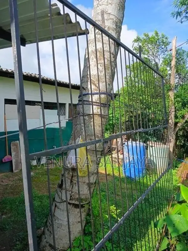 Grill Gate ( යකඩ වැටක් )