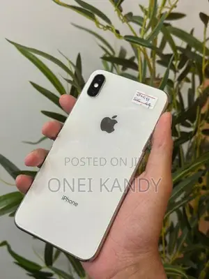 Apple iPhone XS Max 64GB (Used)