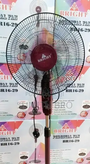 Bright Fan