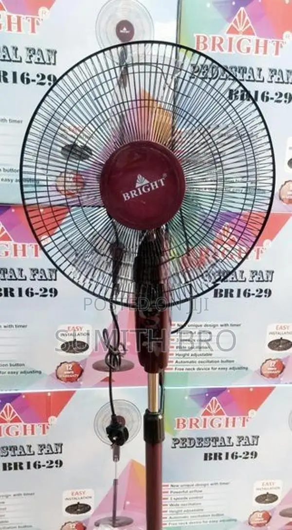 Bright Fan