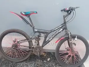 Stallion Bicycle