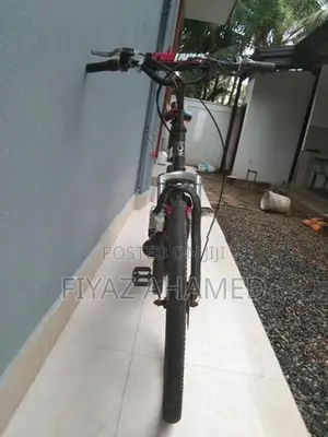 Stallion Bicycle