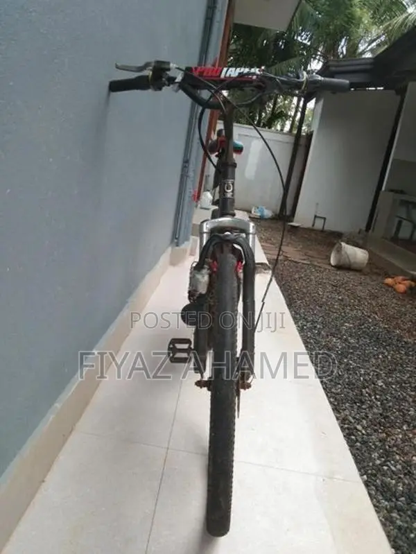 Stallion Bicycle