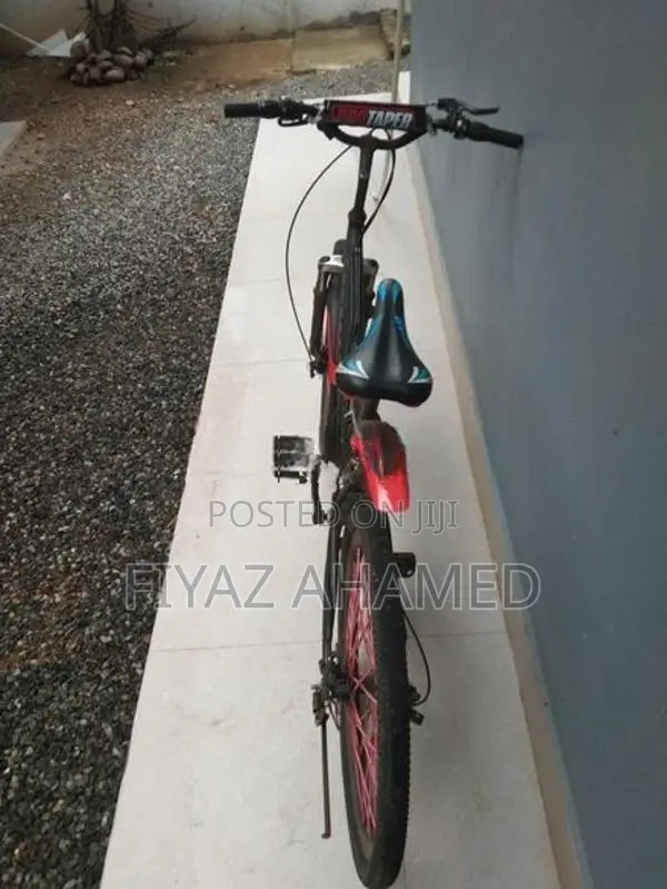 Stallion Bicycle