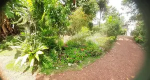 Land for Sale Boralesgamuwa Abillawaththa