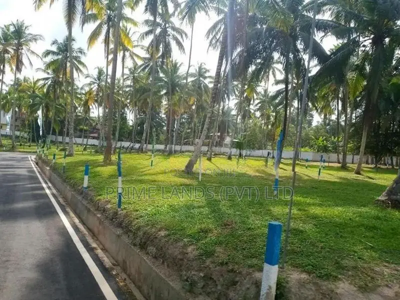 යක්කල නගරයෙන් නේවාසික හා ව්‍යාපාරික බිම් කොටස්