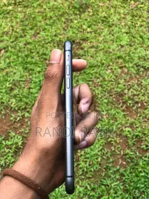 Apple iPhone 11 (Used)