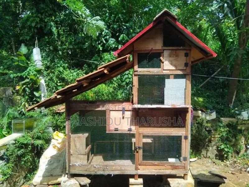 පරවි කොටුව