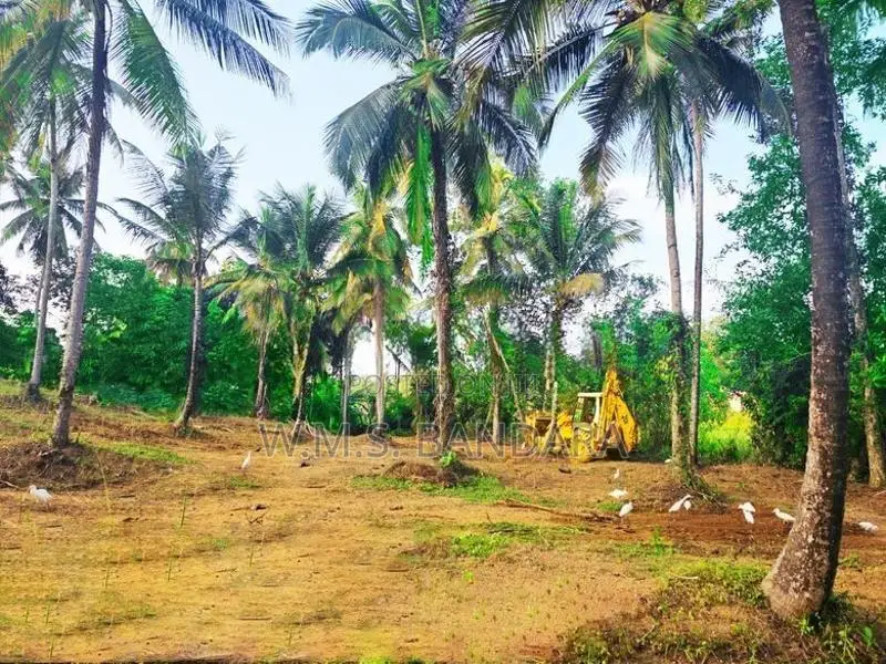 Wathupitiwala Land for Sale P7