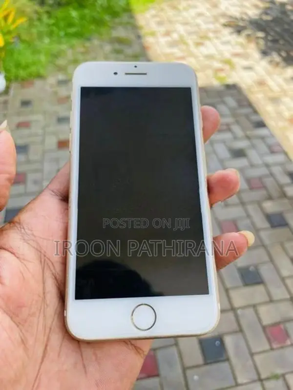 Apple iPhone 7 (Used)