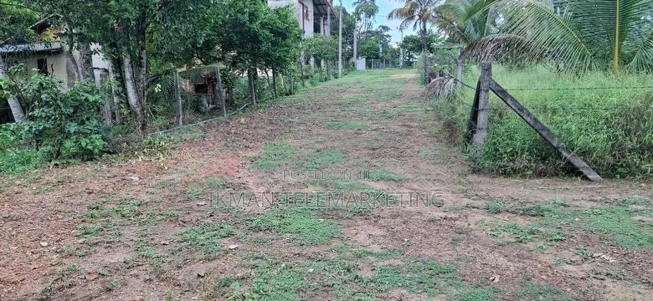 Land for Sale in Pannipitiya, Palanwatta